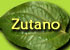 Zutano
