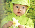 Kushies Apple Rain Coat