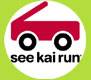 See Kai Run shoes